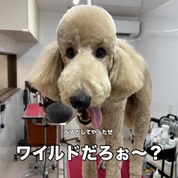画像3751
