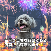 画像3758