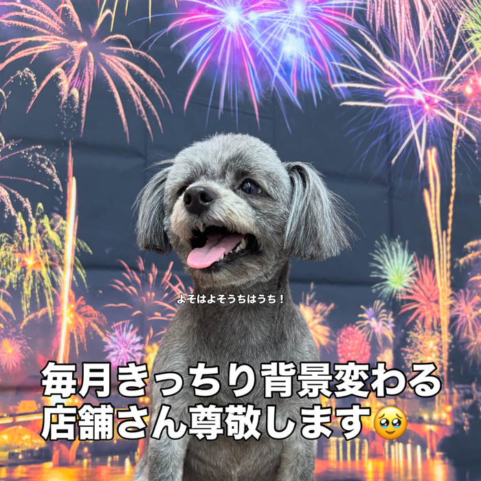 画像3758