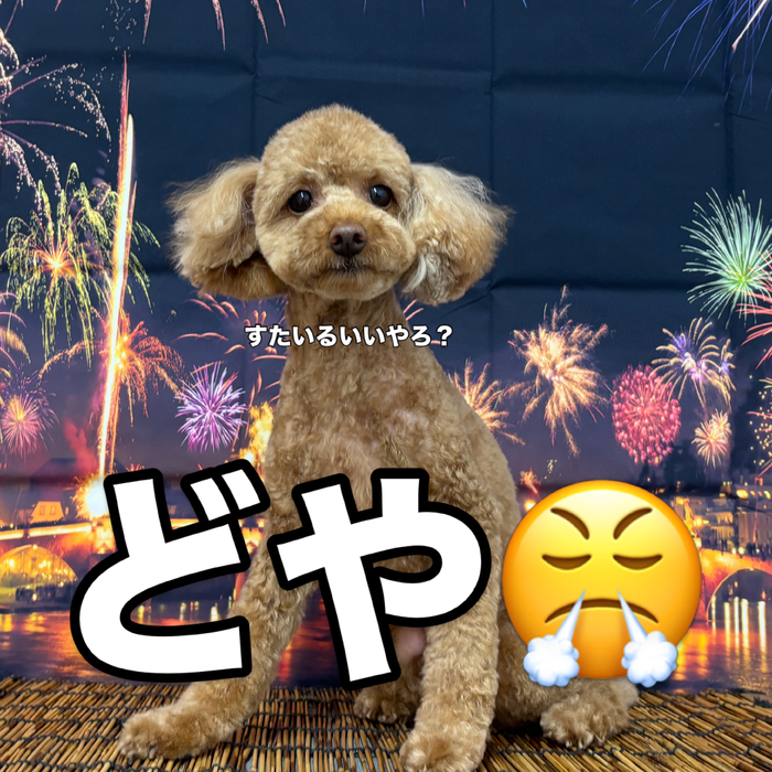画像3763