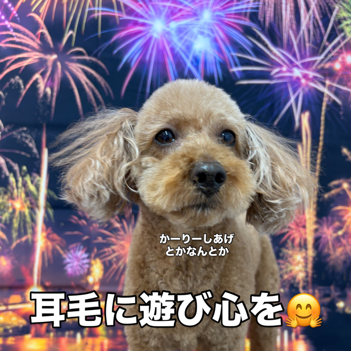 画像3768
