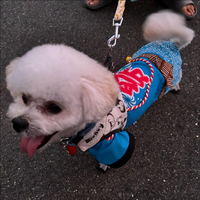 画像409