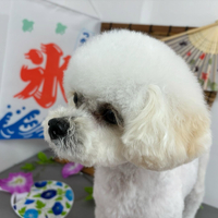 画像413