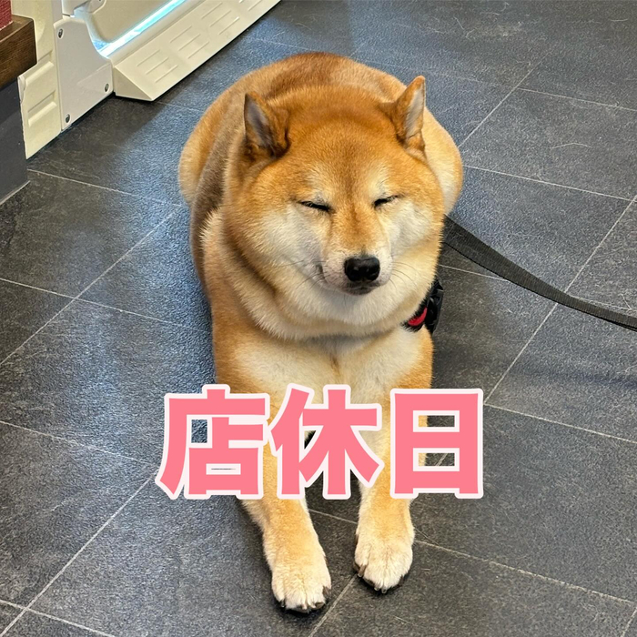 画像424