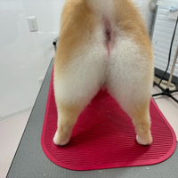 画像443