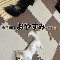 画像445