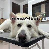 画像447