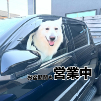 画像449