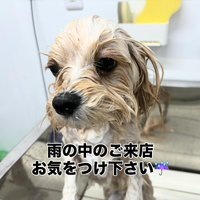 画像464