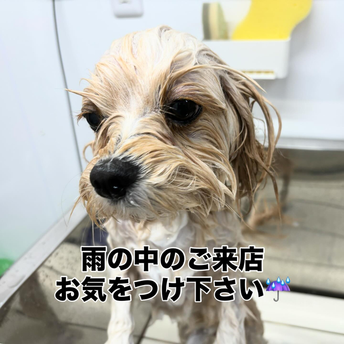 画像464