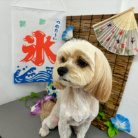 画像468