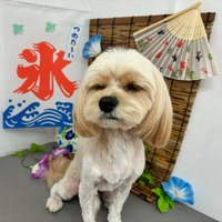 画像469