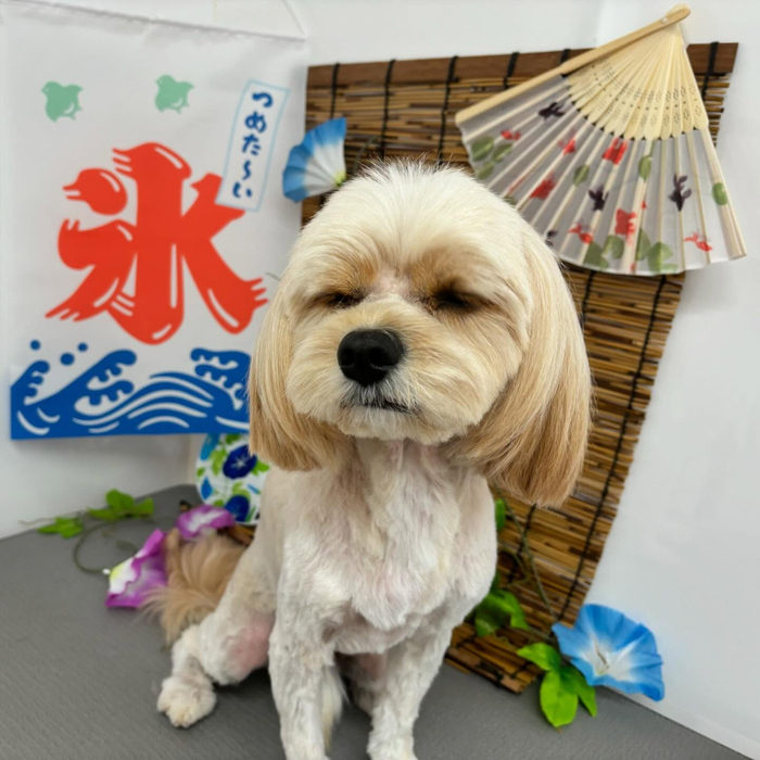 画像469