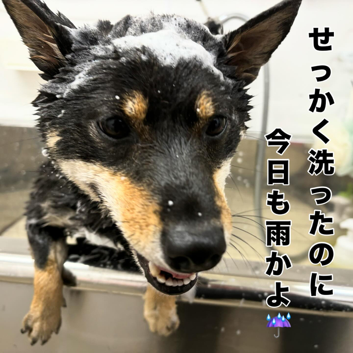 画像471