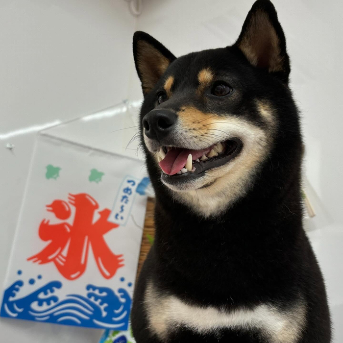 画像474
