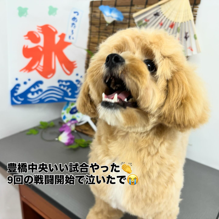 画像476