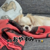 画像484