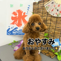 画像488