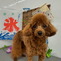 画像492