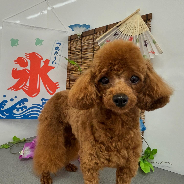 画像492