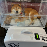 画像499
