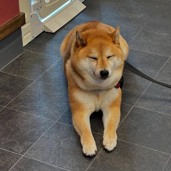 画像500