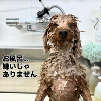 画像502