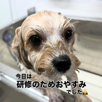 画像516