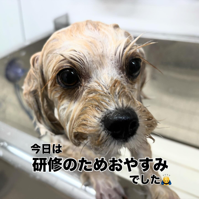 画像516
