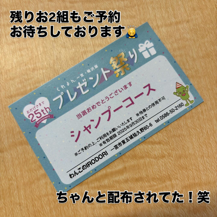画像538