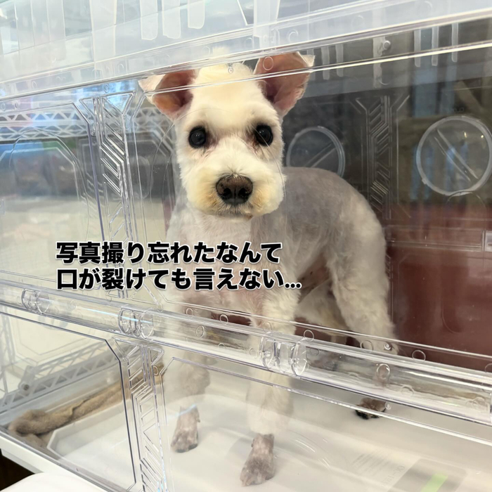 画像540