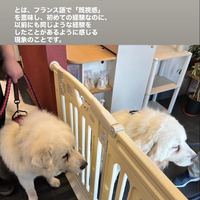 画像543