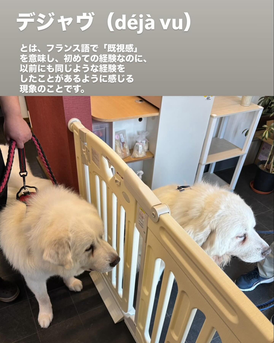画像543