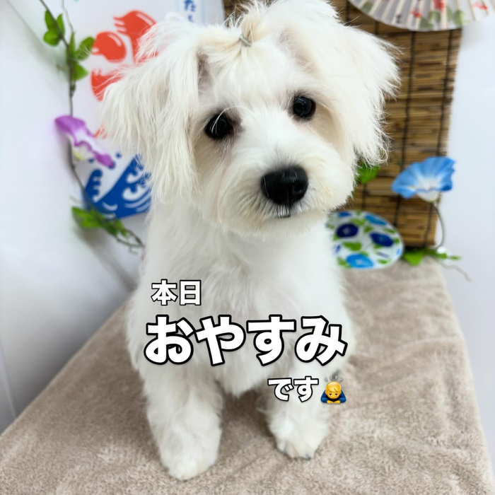 画像545