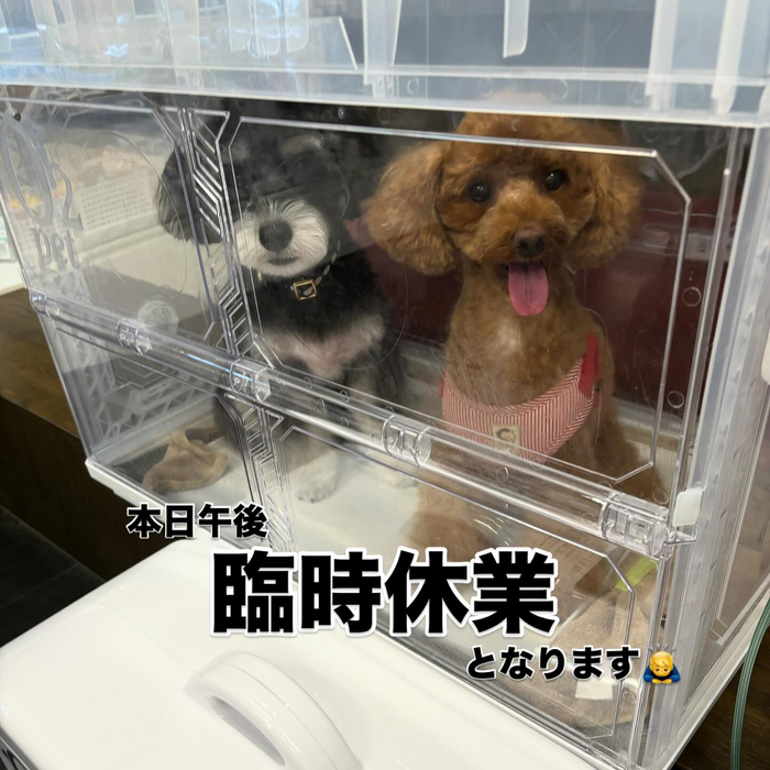 画像561