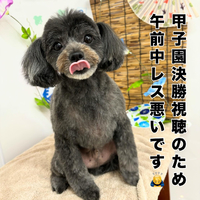 画像571