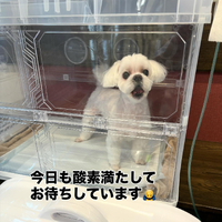 画像578