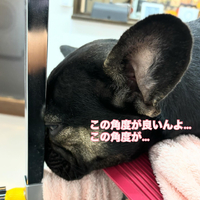 画像586