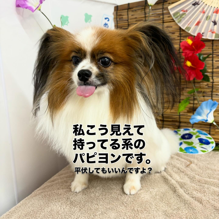画像600