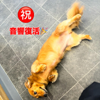 画像611