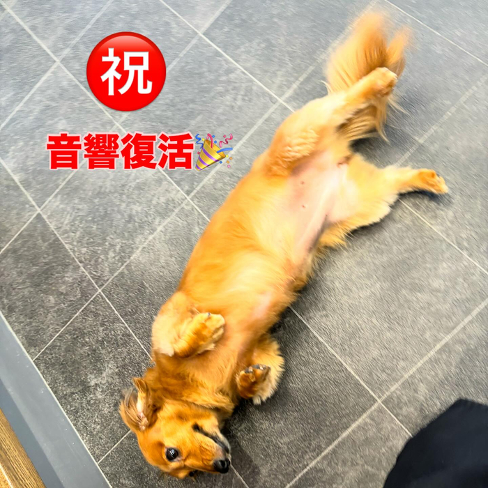 画像611
