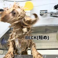 画像618