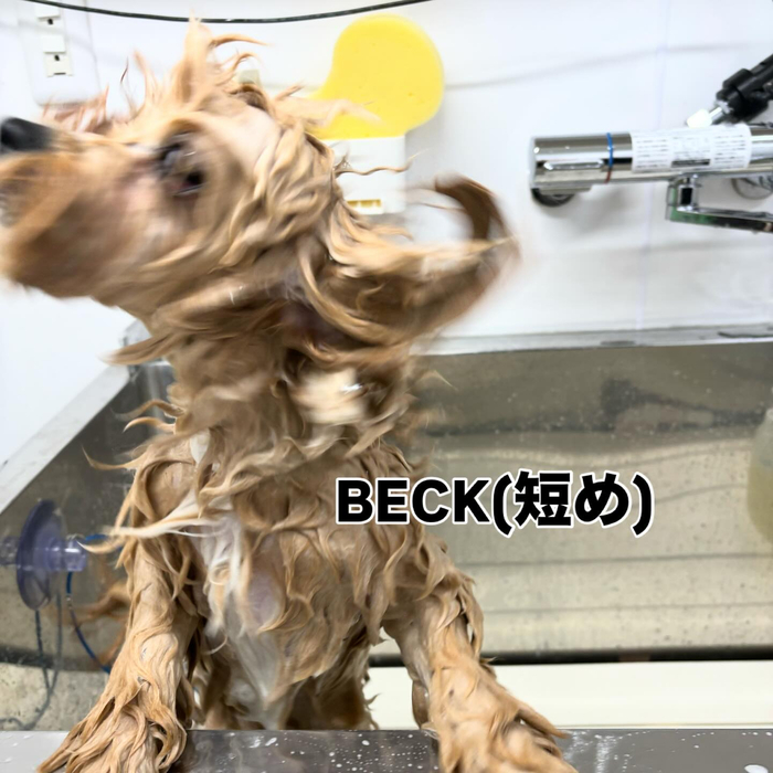 画像618