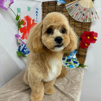 画像621