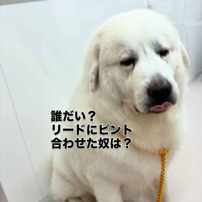 画像625