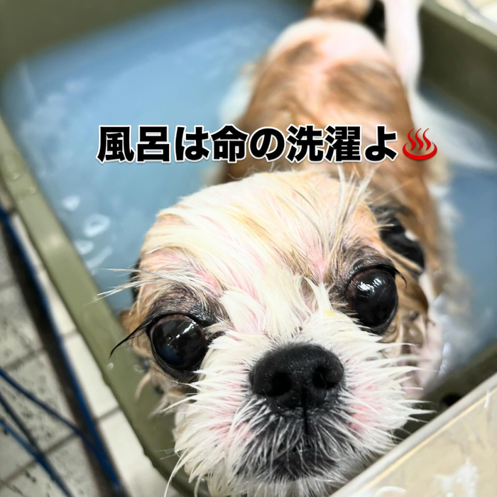 画像642