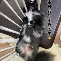 画像650