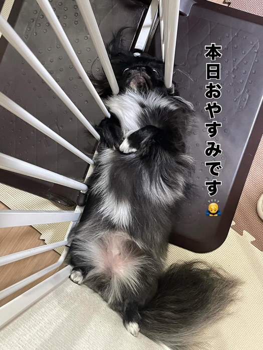 画像650