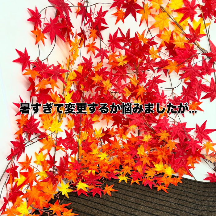 画像652