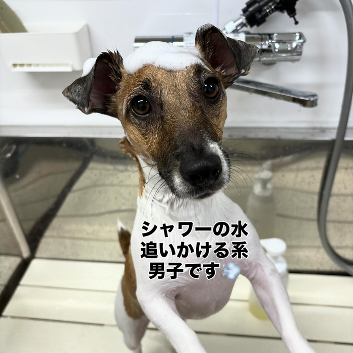 画像655